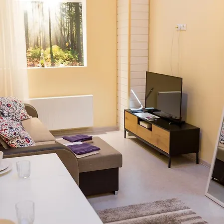 Lejlighed Enjoy Easy Living In Recently Renovated Studio *